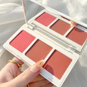 Custom Korea Cosmetic Multicolor Private Label Blush Eyeshadow Palette Mini Gradient Color Changing Face Makeup Blush