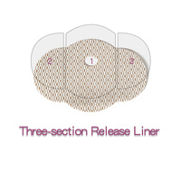 Patchs Amincissants Externes Lijin pour Brûler la Graisse Abdominale et des Bras – Pack de 5 Pièces pour une Mise en Forme Ciblée