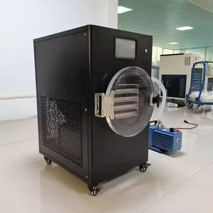 Mini Liofilizador de Alimentos para Uso Doméstico, Control Digital, Fácil Operación, Máquina de Secado por Congelación - Product Image 1