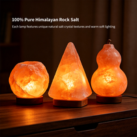 Lampe en sel rose de l'Himalaya naturel, lampe en sel cristallin sculptée à la main, décoration d'intérieur, lampe en sel purifiant l'air