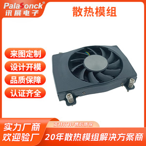 Palasonck <b>Heat</b> Sink Module Aluminum Air Cooled With <b>Fan</b> Customizable For Electronics - Product Image 2