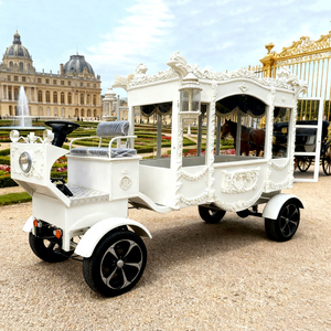 Cercueil électrique à roues blanches à bas prix pour transport spécial / Véhicule électrique / Voiture funéraire - Product Image 1