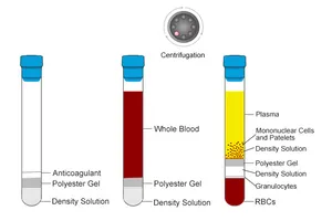 Unique Prp Tubes With Gel And Anticoagulant Vacuum Tubes For Blood Collection