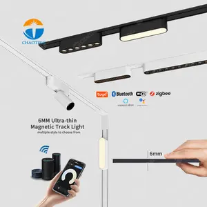 Zoomable Réglable Linéaire Projecteur Spot Focus Lampe Surface Encastré Pendentif Led Piste Lumière Aimant Piste Lumière Rails Magnétiques