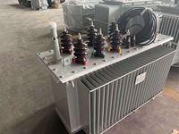 Transformador de Aceite de Baja Pérdida Tipo S13 40kVA-8000kVA, Transformador de Potencia Exterior Monofásico/Trifásico de Alta Tensión 400V Global Power