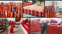 Vanne en laiton à poignée rouge de vente chaude pour extincteur avec accessoire d'équipement de lutte contre l'incendie à goupille de sécurité