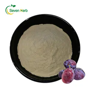 100% Pure High Quality Prune Fruit Powder Natural Prune Powder Spray Dried Prune Powder