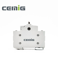 CEMIG alta calidad 2P 63A 230/400VAC Modular Dual Power interruptor aislador de transferencia Manual interruptores de instalación de riel Din