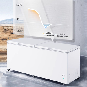 Rinascita <span class=keywords><strong>congelatore</strong></span> <span class=keywords><strong>congelatore</strong></span> ghiaccio commerciale <span class=keywords><strong>orizzontale</strong></span> frigorifero con grande capacità - Product Image 5