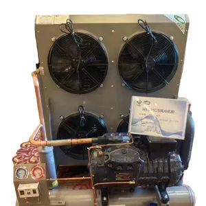 Bizer unit kompresor pendingin angin, unit kondensor pendingin dari kompresor bizer