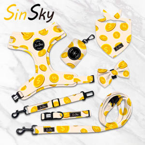 SinSky Conjunto de <span class=keywords><strong>Collar</strong></span>, Correa y Arnés de Lujo para Perro de Diseño Personalizado, Chaleco Arnés Ajustable Antitirones para Mascota con Impresión Personalizada - Product Image 1