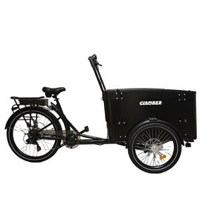 Vélo cargo électrique à 3 roues, entrepôt européen, Lastenrad Bakfiets néerlandais pour usage familial quotidien - Product Image 1