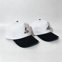 Casquette de baseball en coton bicolore OEM ODM avec logo brodé, 5 panneaux, visière incurvée, chapeau décontracté pour hommes et femmes