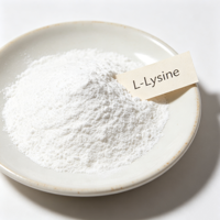 Poudre d'acides aminés non aromatisée pour les boissons sportives, les smoothies, les compléments post-entraînement, supplément de fitness OEM, poudre de L-Lysine