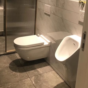 Inodoro suspendido de pared para baño, tipo flotante, con <span class=keywords><strong>cisterna</strong></span> oculta de PVC 222609 - Product Image 1