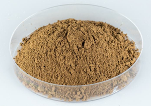 Hongda bubuk ekstrak Coleus Forskohlii alami murni Forskolin 10% 20% 98% - Product Image 3