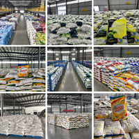 Lessive en poudre en gros pour usine, 500g/10kg, parfum citron, lessive multi-actions pour lavage à la main et en machine