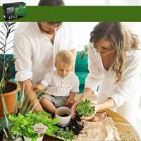 Vente chaude Personnalisé Usda Certifié Biologique Fleur De Lotus Bleu Bonsaï Arbre Kit Naturel Avec Boîte De Plantes Jardin Extérieur