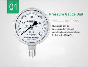 China Fornecido 1,6% Manômetro Preciso Medidor De Pressão Hidráulica Alta Precisão Manômetro De Aço Inoxidável Fosco - Product Image 3