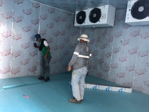 Celle Frigorifere e Celle Frigorifere Industriali con Sistema di Raffreddamento Efficiente - Product Image 3