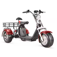Triciclo Eléctrico Citycoco de 3 Ruedas para Adultos, Scooter Eléctrico de 3000W/2000W, Triciclo Eléctrico de 2000W