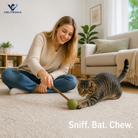 Bâtonnet de chat à la catnip compressé avec manche en bois naturel pour jeu interactif