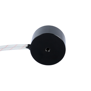 Landa H5030 Imán circular 500N Electroimán de elevación - Product Image 5