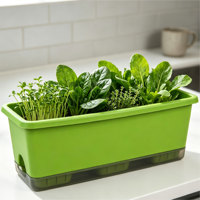 Jardinière carrée en PP avec trous de drainage et système d'auto-arrosage pour légumes, herbes et fleurs - Utilisation au sol, sur balcon ou dans un jardin - Capacité de 16,8 L
