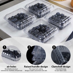 Cajas de Plástico PET Transparente Reciclables Tipo Concha para Arándanos, Adecuadas para Arándanos, Tomates y Uvas - Product Image 3