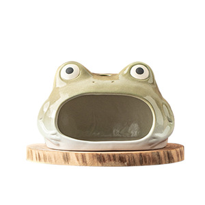 YUBIN Bruciatore di Incenso in Ceramica Creativo a Forma di Piccola Rana, Ecologico, per Aromaterapia, Uso Domestico per Tutte le Stagioni, con Salvia e Lavanda - Product Image 5