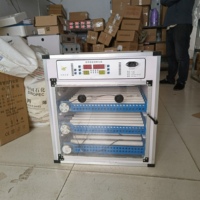 Incubateurs à œufs de petite capacité, mini-incubateurs automatiques, bon fournisseur d'usine