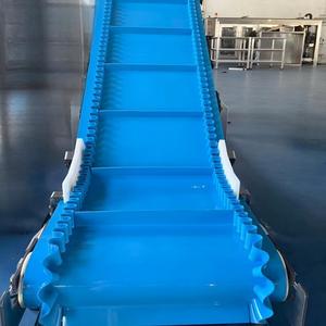 Convoyeur <span class=keywords><strong>à</strong></span> bande en PVC texturé de qualité alimentaire pour l'élévation contrôlée des produits en gradient pour le remplissage de boissons <span class=keywords><strong>à</strong></span> grande vitesse et l'emballage en cartons - Product Image 5