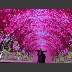 Pantalla LED 3D de Alta Definición Jilian para Interiores, Pantalla Flexible Curva de 360 Grados, LEDs P1.5 P1.86 P2.5 P4, Pantalla Flexible - Product Image 5
