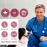 Complément articulaire pour chiens OEM ODM - Soulagement des douleurs articulaires - Glucosamine, chondroïtine, curcuma - Friandises à mâcher molles