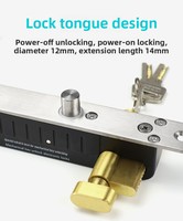 Serrure électrique DFD à brancher avec clé (verrou électrique à clé) pour portes de villas et de prisons