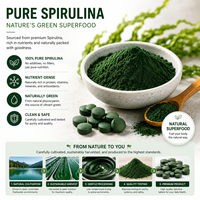 Comprimés de Spiruline 500mg Supplément Super Aliment Vert Antioxydant Soutien Immunitaire Santé Nutritionnelle Fournisseur d'Usine