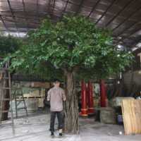 Grand arbre artificiel Banyan avec racines aériennes, feuillage luxuriant et réaliste, personnalisable pour la décoration intérieure des centres commerciaux, hôtels et restaurants