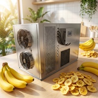 NF-300RD KESU Commerciële Warmtepomp Bananendrooginstallatie Grote Capaciteit RVS Fruitdroogruimte