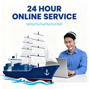 Servicio de Logística de Carga Aérea Express DHL/UPS Más Económico, Envío Aéreo de China a India, Entrega Puerta a Puerta - Product Image 2