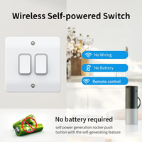 Interrupteur mural sans fil intelligent 2 gangs MK Logic Grid Kinetic à bouton-poussoir compatible RF433 pour appareils domotiques