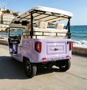 รถสามล้อไฟฟ้า 6 ที่นั่งสุดหรู ได้รับการรับรองมาตรฐาน EEC COC สำหรับการขนส่งวีไอพีในเมือง - Product Image 4