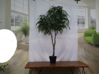 Künstlicher 2-Zweig Ficus-Baum mit Dicken Stielen aus Kunststoff mit Echtem Aussehen für Innenräume, Bonsai-Baum zur Gartendekoration