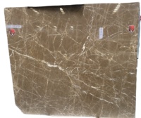Dalle de marbre marron mocha de luxe avec veines fines blanches et veinage bronze pour mur d'accentuation d'hôtel et de villa