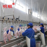 Machine d'abattage de poulet de caille de pigeon petite machine d'abattage de volaille usine ligne d'abattage de pigeon