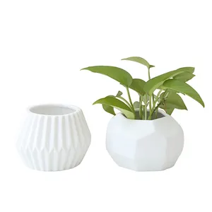 Custom White Mini Ceramic Glazed Porcelain Garden Ceramic Flower Pot