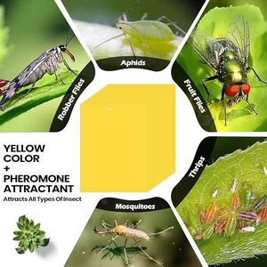 Trampas Adhesivas Amarillas Ecológicas Recubiertas de Papel de 10*15/15*20/20x30cm para Insectos, Disponibles para Granjas Orgánicas y Jardines Domésticos - Product Image 4
