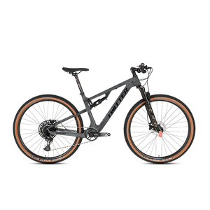 12-tốc độ đầy đủ Carbon treo khung 29er MTB núi Xe đạp Magiê hợp kim ngã ba vật liệu - Product Image 1