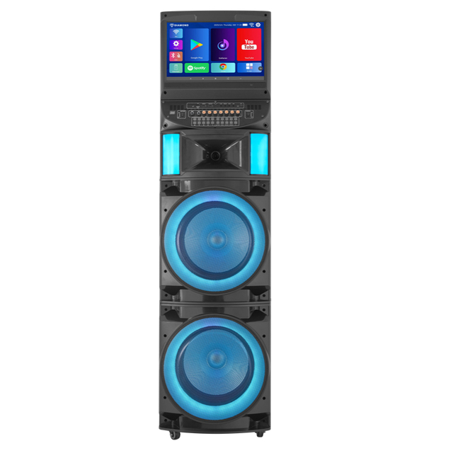 Factory OEM ODM Price Dual 12'' Woofer 2-Way 100W Powerful AC Wood Mobile Portable Professional Ktv Karaoke Mini Box Speaker