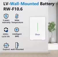 Batterie solaire Deye 10,64 kWh 51,2 V 208 Ah Deye RW-F10.6 Batterie murale Lifepo4 10 kWh Pack de batteries Lifepo4 Système solaire ESS