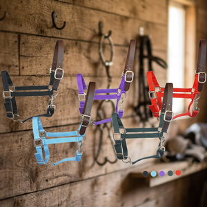 SAISHAS English Saddle Western Horse Halter Durable Nylon Padded Noseband Strong <b>Leather</b> Custom Hardware Custom Logo Custom - Product Image 3